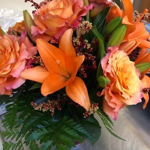 Meet your Posher, Lori